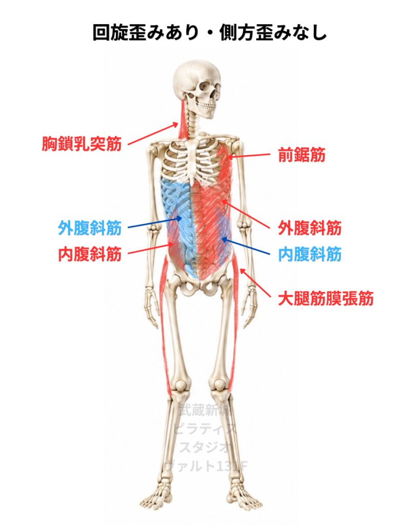 回旋歪みあり側方歪みなしの筋肉
